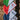 Goat Hill Park Embroidered Diagonal Pin Flag