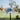 Dark grey dad hat embroidered with the 1952 logo on a stand with a golf course blurred background