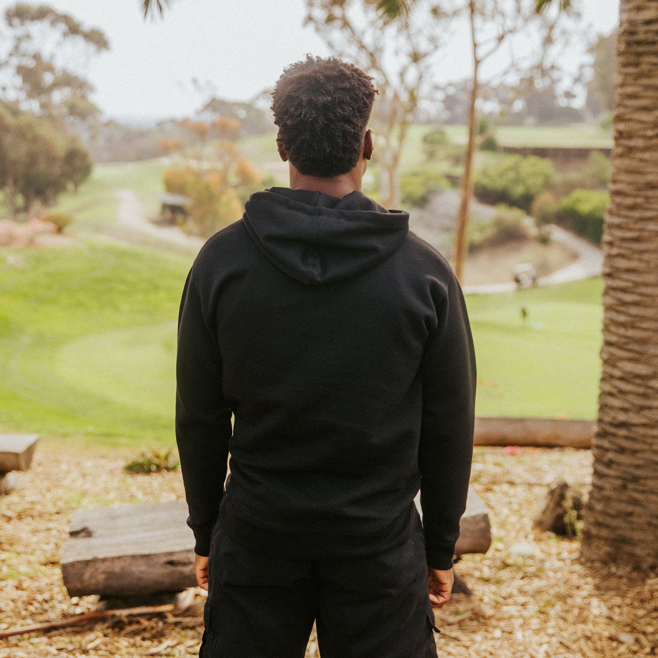 1952 Logo Solid Midweight Hooded Sweatshirt – Goat Hill Park